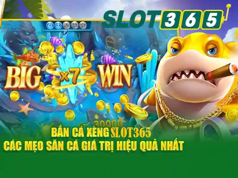 Các tính năng nổi bật Các tính năng nổi bật