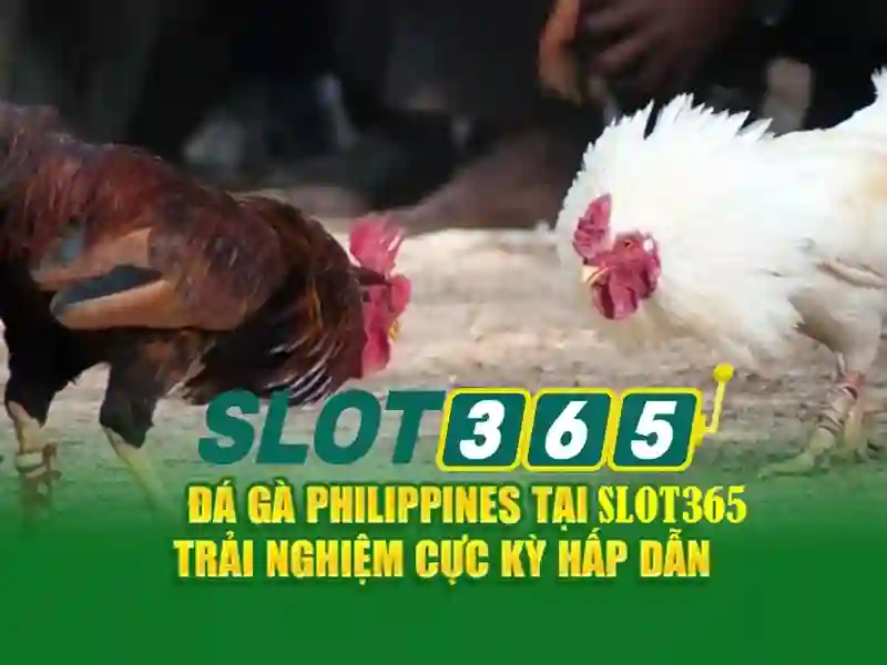 Giới thiệu về Slot365 và thị trường máy đánh bạc trực tuyến