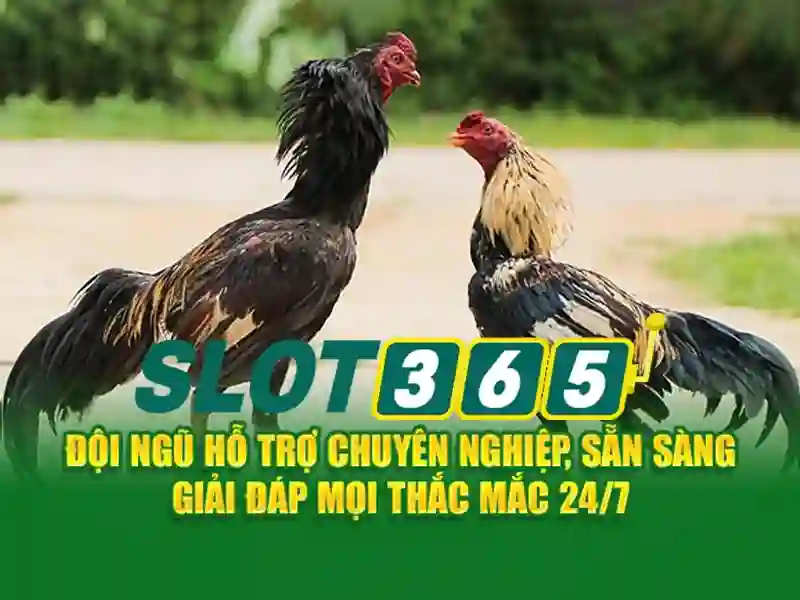 slot365 ios là nhãn phân loại nội dung slot trên hệ điều hành iOS 1 Đăng Nhập