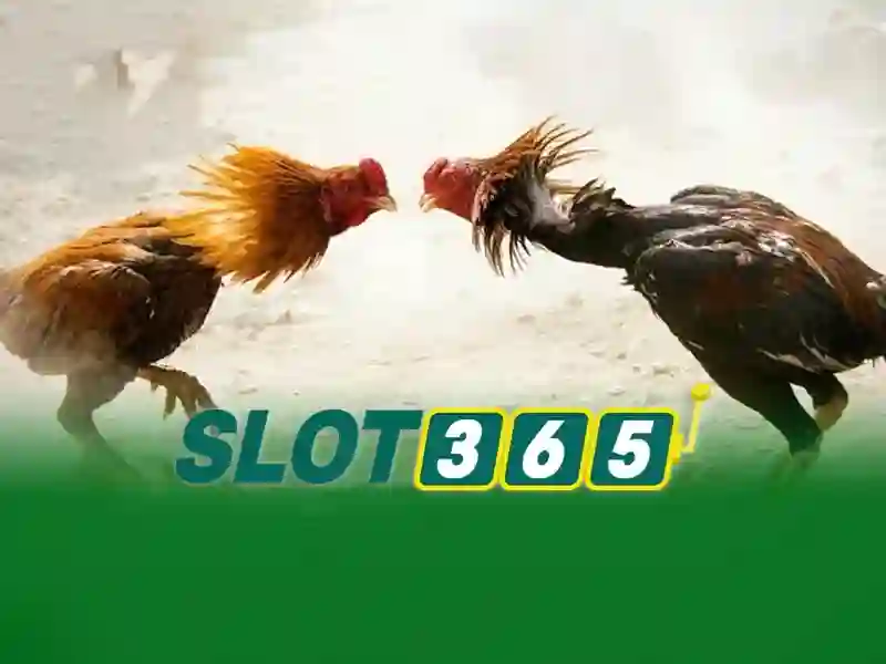slot365 game – Tổng quan chủ đề và giá trị cốt lõi