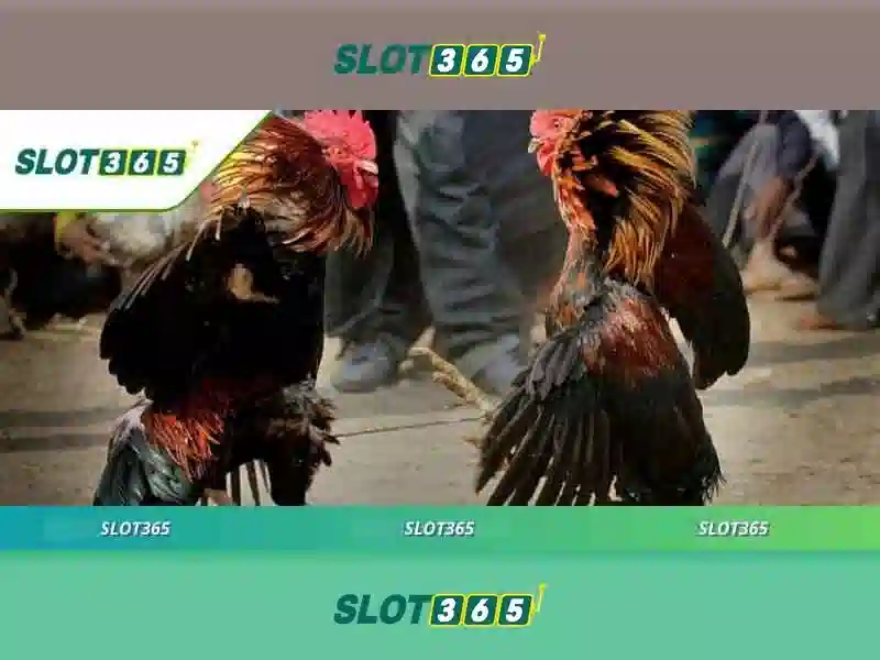 Sản phẩm và Dịch vụ chính Sản phẩm và Dịch vụ chính