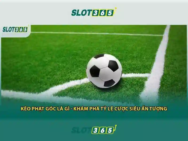 Giao diện và trải nghiệm người dùng