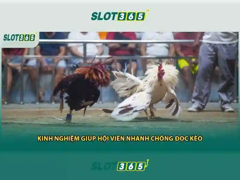 Slot365 – Trải nghiệm slot trực tuyến đáng tin cậy Go88