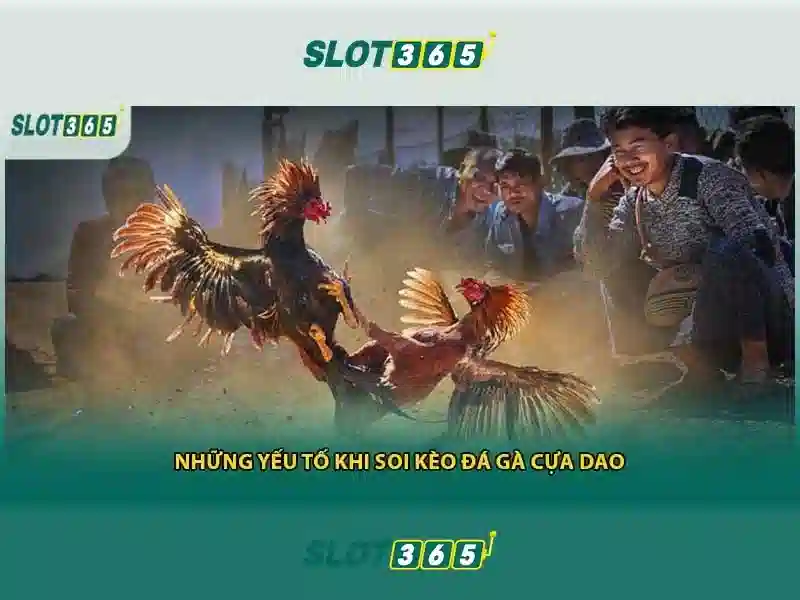 Rút thưởng Slot365 – Tổng quan chủ đề và giá trị cốt lõi Rút thưởng Slot365 – Tổng quan chủ đề và giá trị cốt lõi