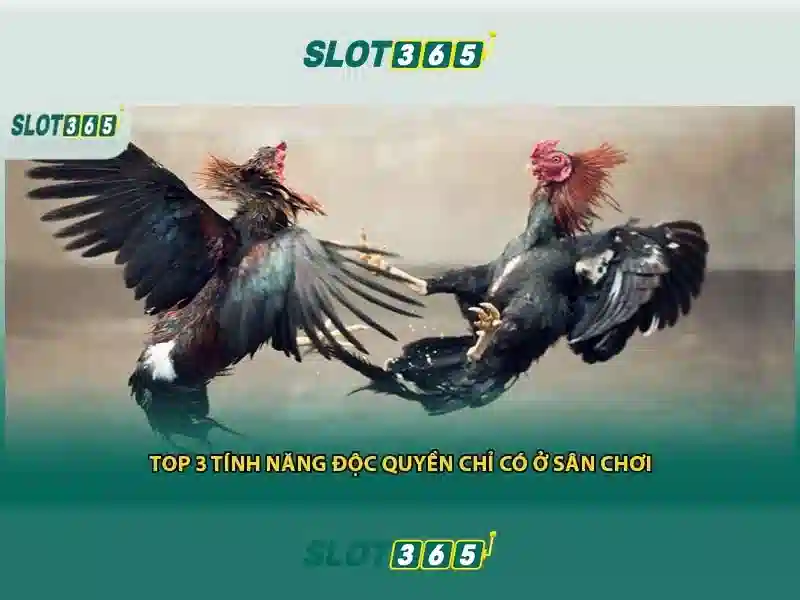 Ứng dụng thực tế của slot365 game và các sản phẩm liên quan Ứng dụng thực tế của slot365 game và các sản phẩm liên quan