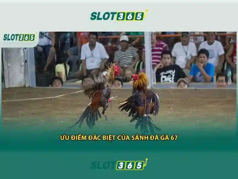 Slot365 là gì? Slot365 là gì?
