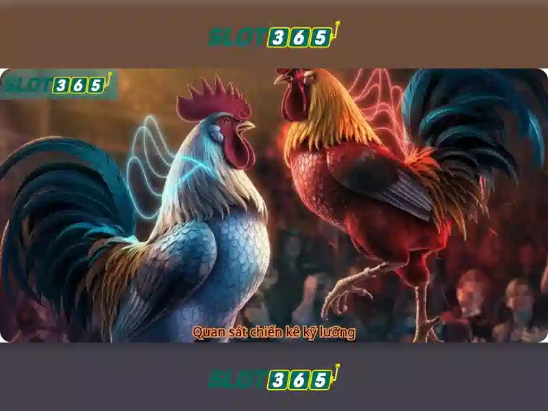 Slot365 la gi?\n