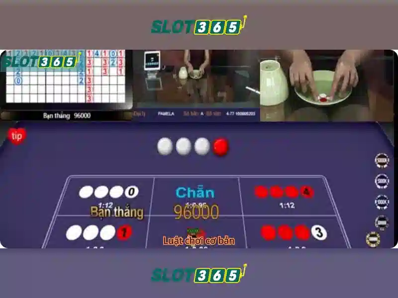 Slot365 - Đánh giá và Trải nghiệm Soi kèo hiệp 1