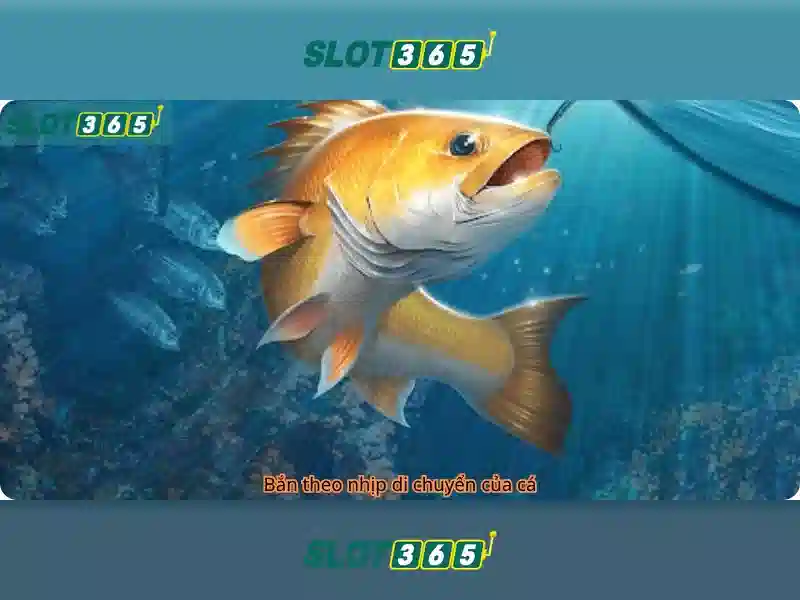 An toàn và thanh toán