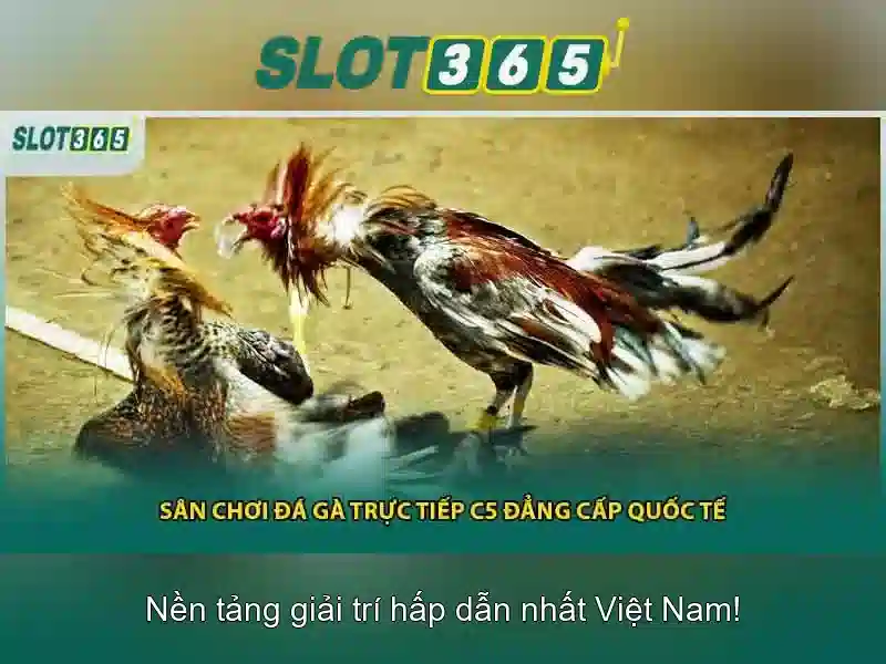 Trò chơi và nhà cung cấp Trò chơi và nhà cung cấp