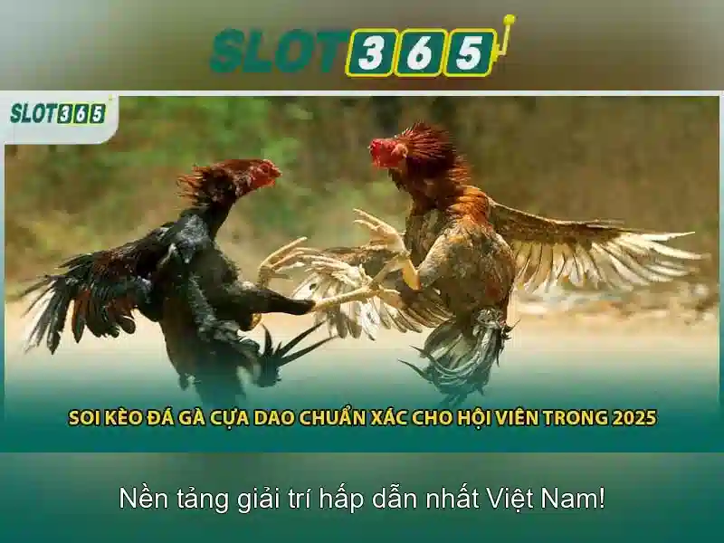 Trò chơi và cơ hội trúng thưởng\n\n Trò chơi và cơ hội trúng thưởng\n\n
