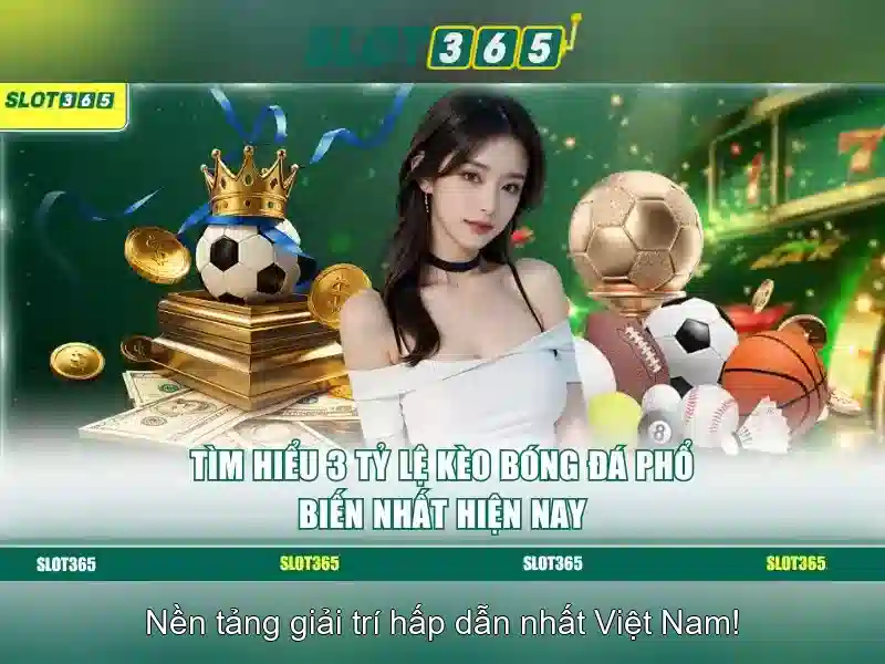 Hỗ trợ khách hàng và chương trình thưởng Hỗ trợ khách hàng và chương trình thưởng