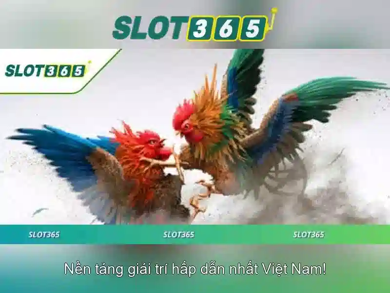 Slot365: Hướng dẫn và đánh giá tổng quan Go88