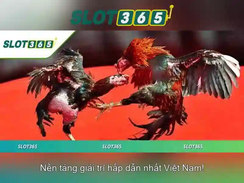 Khuyến mãi và chương trình khách hàng\n