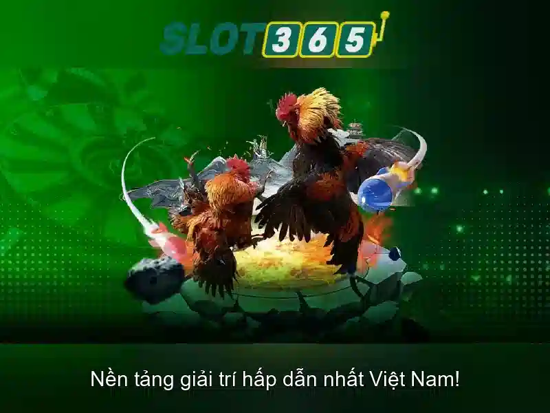 Kết luận