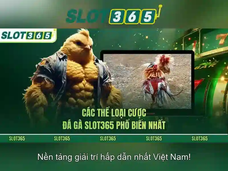 Slot365: Nền tảng chơi slot trực tuyến uy tín Go88