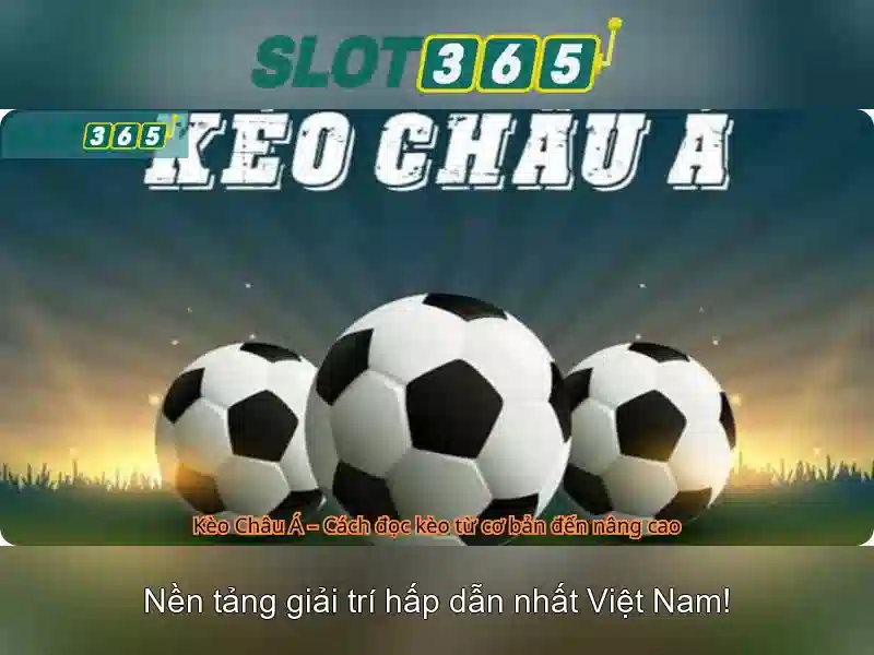 Slot365 - Đánh giá và Trải nghiệm Go88