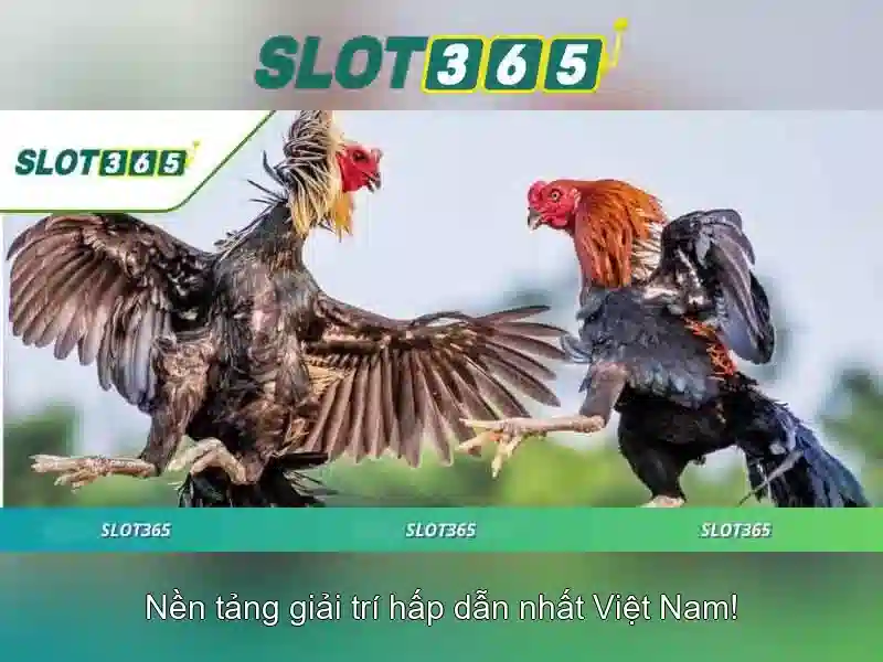 Slot365 - Nền tảng trò chơi trực tuyến đáng tin cậy Go88