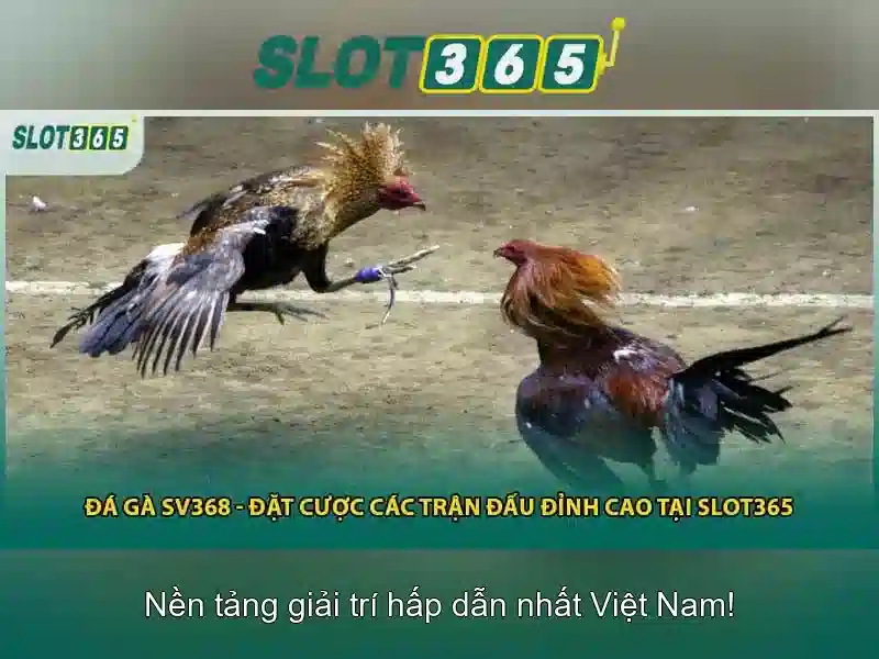 Đăng Nhập