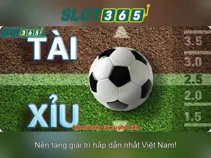 Trải nghiệm người dùng và giao diện\n Trải nghiệm người dùng và giao diện\n