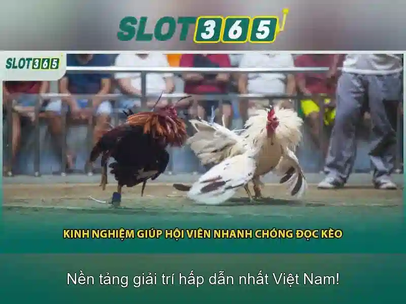 Danh sách trò chơi tại Slot365 Danh sách trò chơi tại Slot365