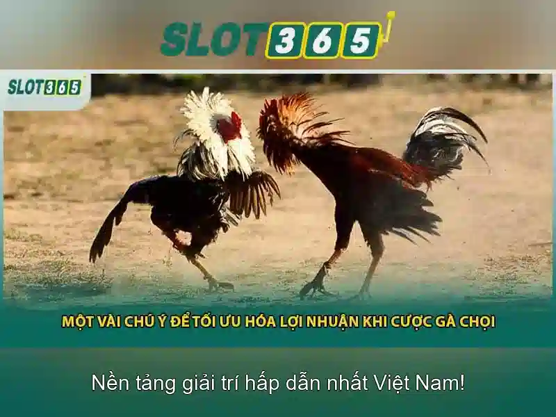 Slot365: Trải nghiệm chơi slot trực tuyến Go88