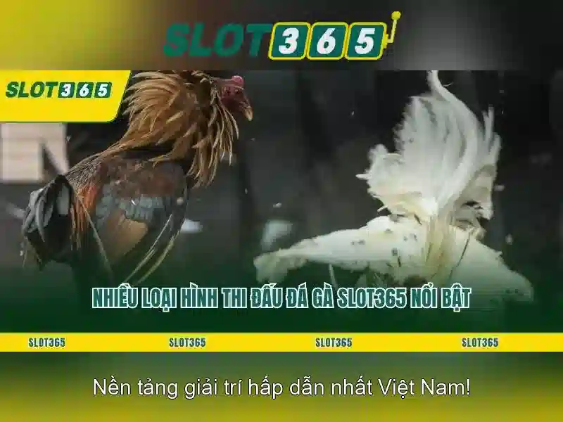 An toàn và cược có trách nhiệm