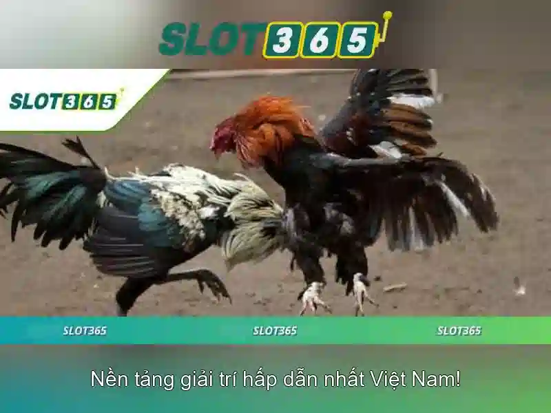 An toàn và bảo mật khi chơi Slot365