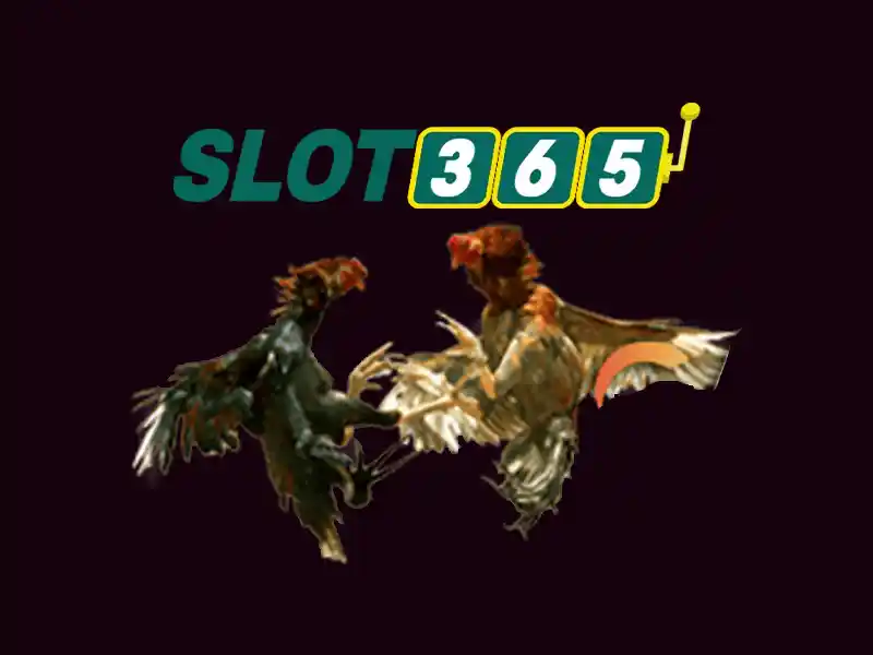 hướng dẫn Slot365 – Tổng quan chủ đề và giá trị cốt lõi
