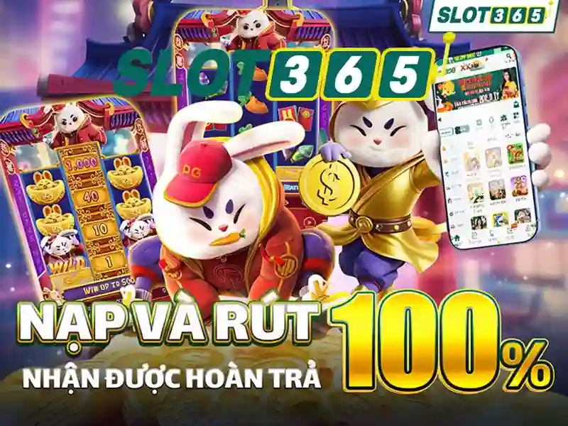 Sản phẩm và dịch vụ liên quan đến Slot365 rút tiền