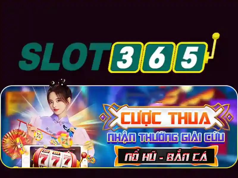 Kết luận cho người mới