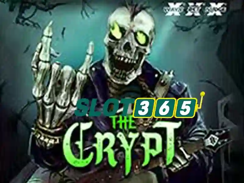 Trải nghiệm người dùng và phản hồi từ cộng đồng